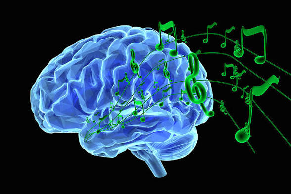Your Child’s Brain on Piano Music: Why Piano Lessons Build More Than Musical Skills